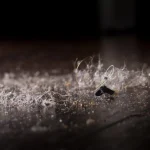 a sério suas alergias de inverno