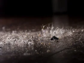 a sério suas alergias de inverno