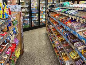 lanches ricos em proteínas