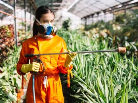 O Uso Correto do Herbicida em Dias Ensolarados