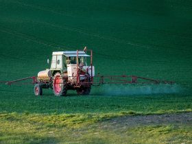 Qual é a dosagem do Roundup granulado
